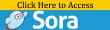 SoraButton-2.png